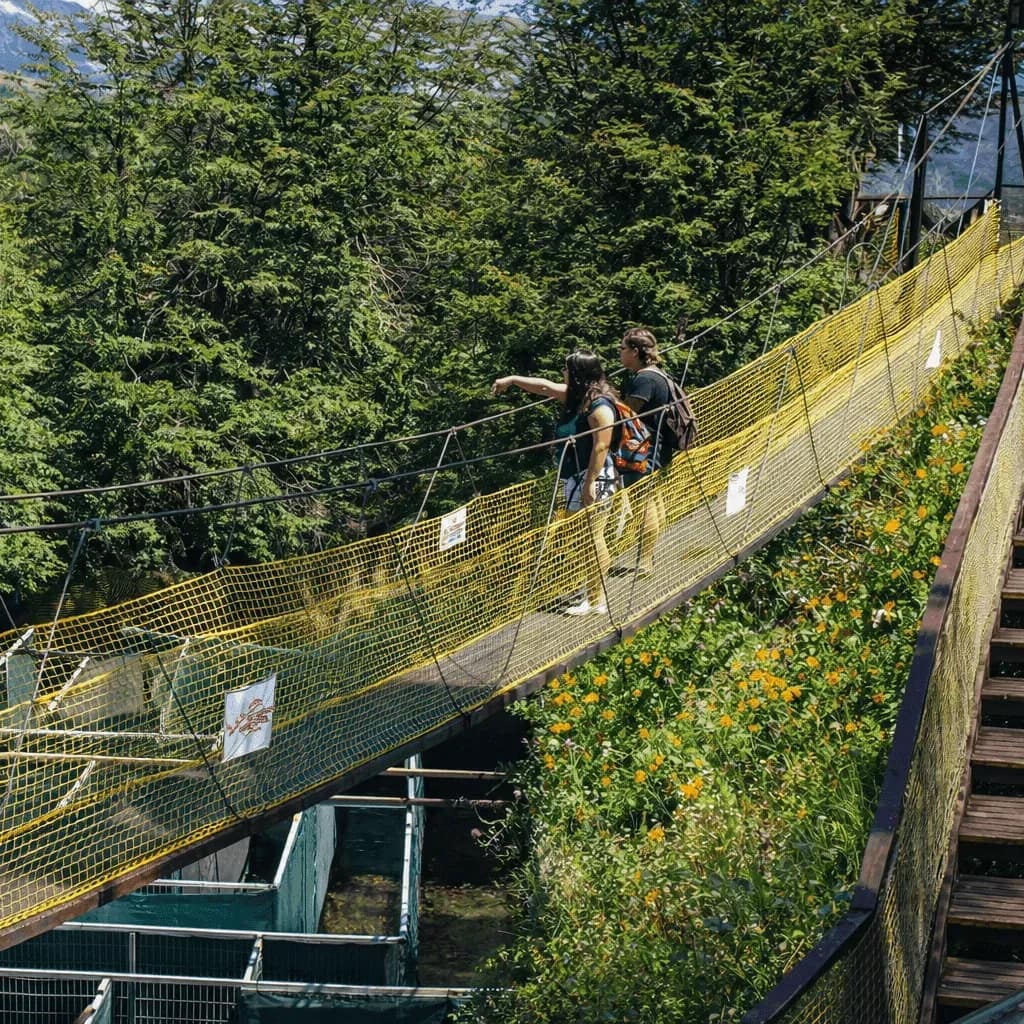 puente colgante