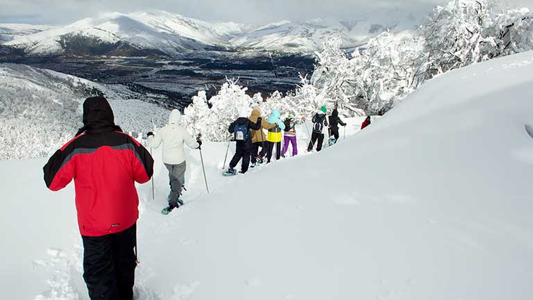 Guided Snowshoe Hikes